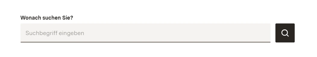 Suchfeld auf der Institutswebseite.