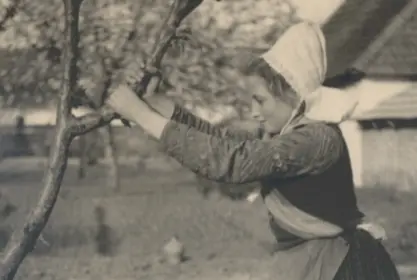 Eine junge Frau in Tracht hält sich am Ast eines Baumes.