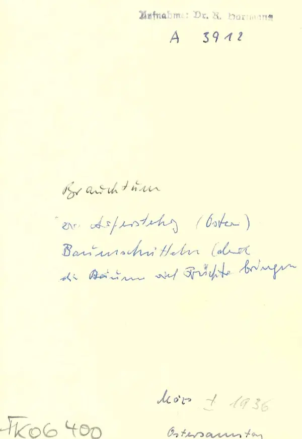 Rückseite eines Fotos mit handschriftlichem Vermerk.