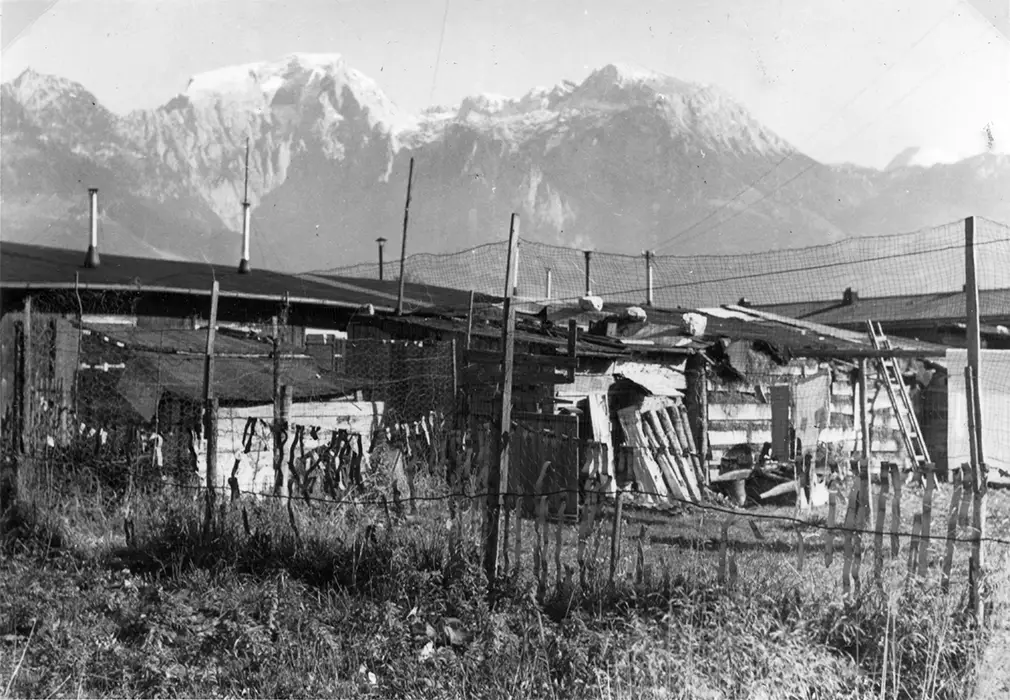 Rückansicht der Unterkünfte der Geflüchteten und Vertriebenen im Durchgangslager Piding/Oberbayern, um 1953.