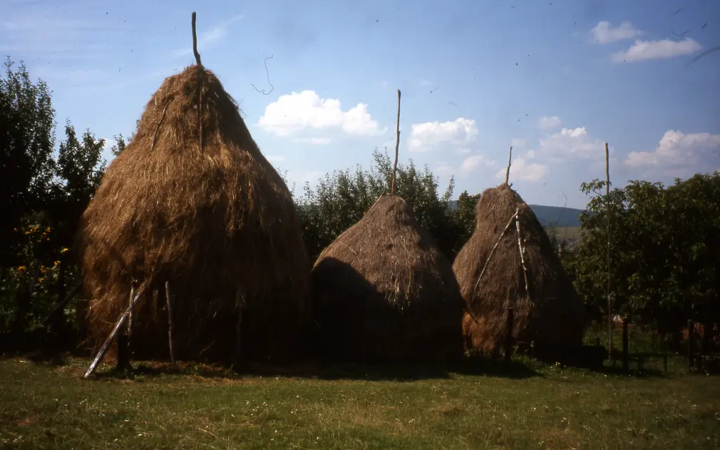 Landschaft mit drei Heuhaufen